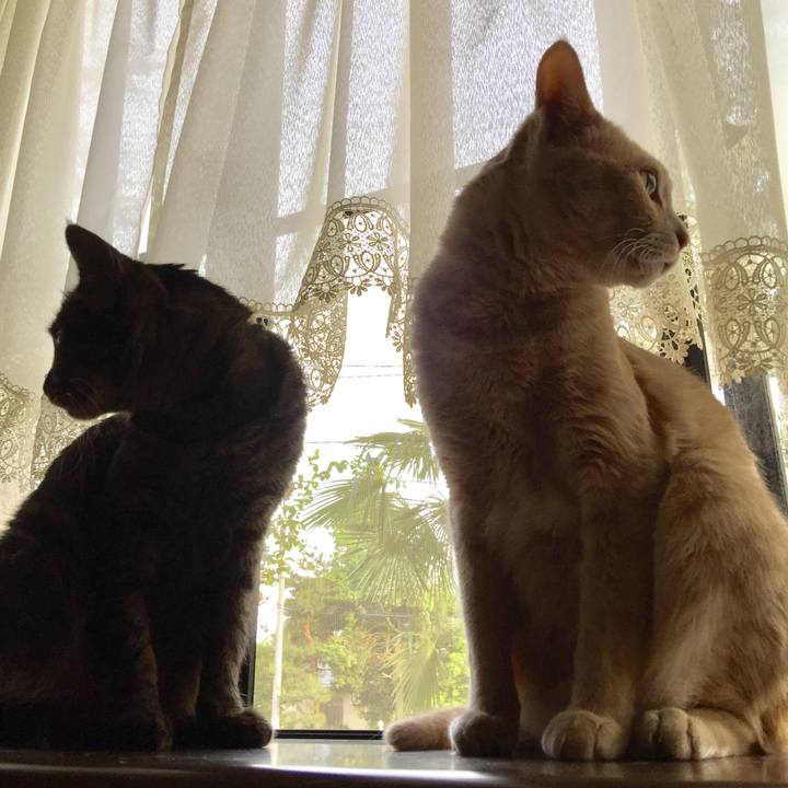 Da1897b8 f1d0 488a a56c 9c933987a36b 1526473831136