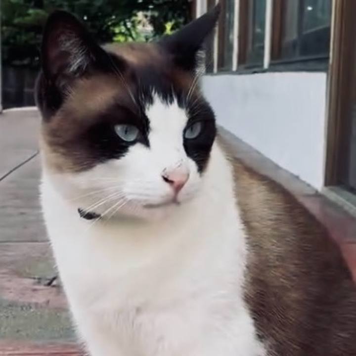 Da189ef8 98e3 4cb9 ac97 ad50304f91cd 1750232366989