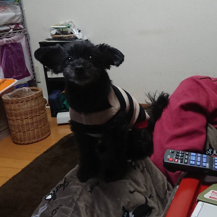 Da18aa91 26eb 464c a5e2 0f15749b757b 1550312565186