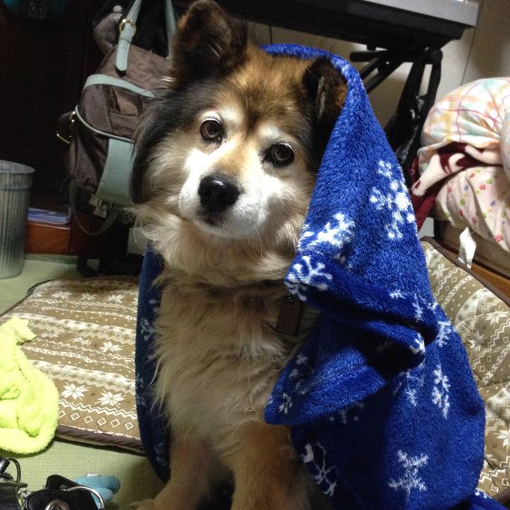 Da18c10d 918b 4eb7 b71f b83a9ad92f87 1548845911836