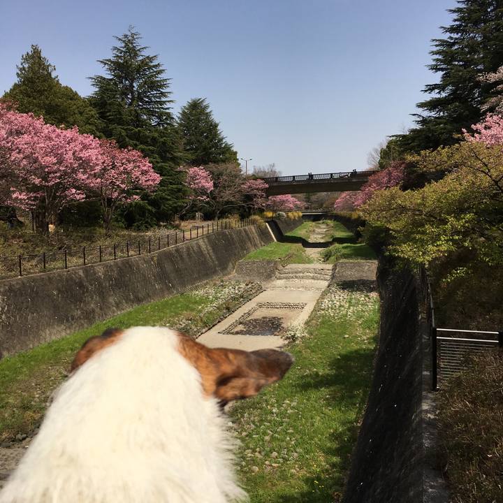 Da190c69 bcbc 44b6 b693 07f2f250f76e 1584841456656