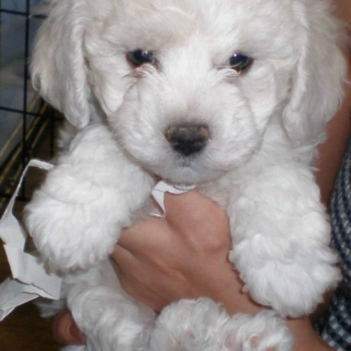 Da191f5c fe29 4a38 b1bf f6a48eecd346 1733654399495