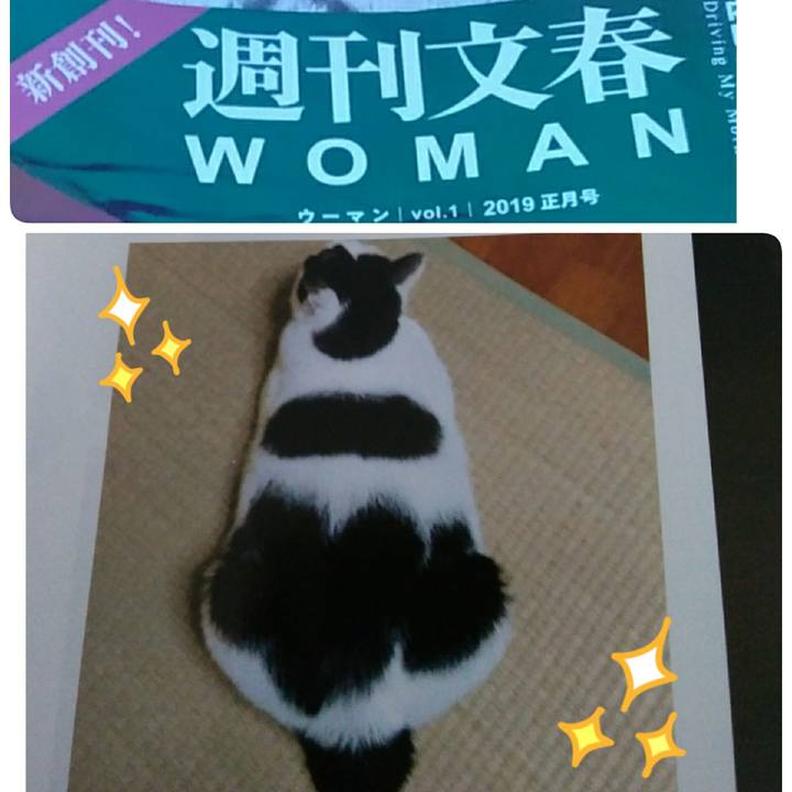 Da19229f ef24 4571 9fc3 9cbfe4848f31 1546254339596