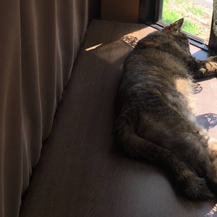 Da199661 af91 4c24 b561 ab259c85897b 1592704450484