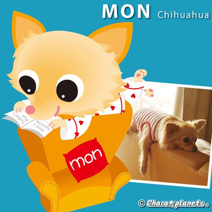 Da19a71d befe 4dd4 865e ec7a74b58e5a 1561685577199