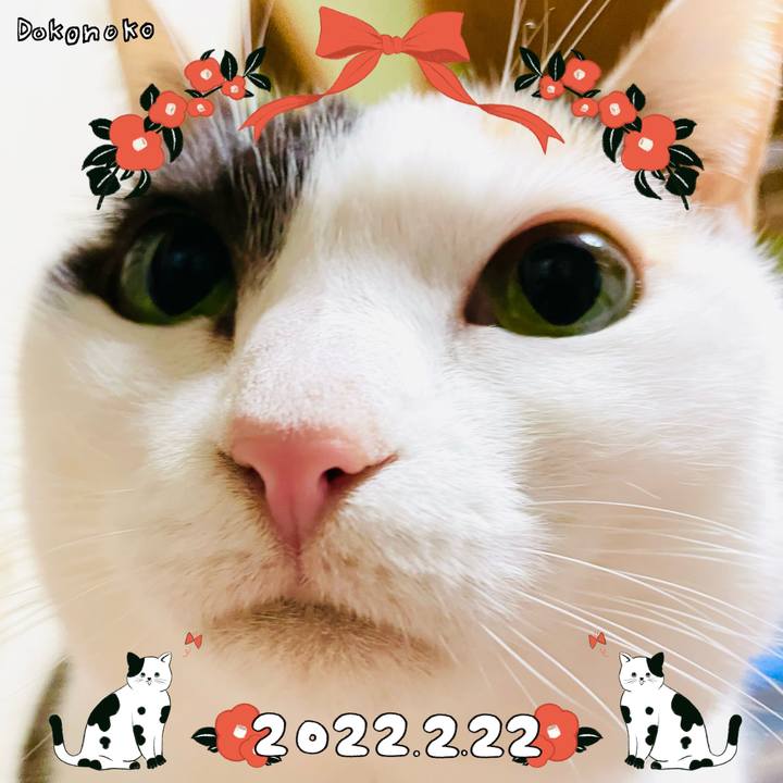 Da19fb11 e6a4 40b6 bafd 7ad2e65c933f 1645494482829