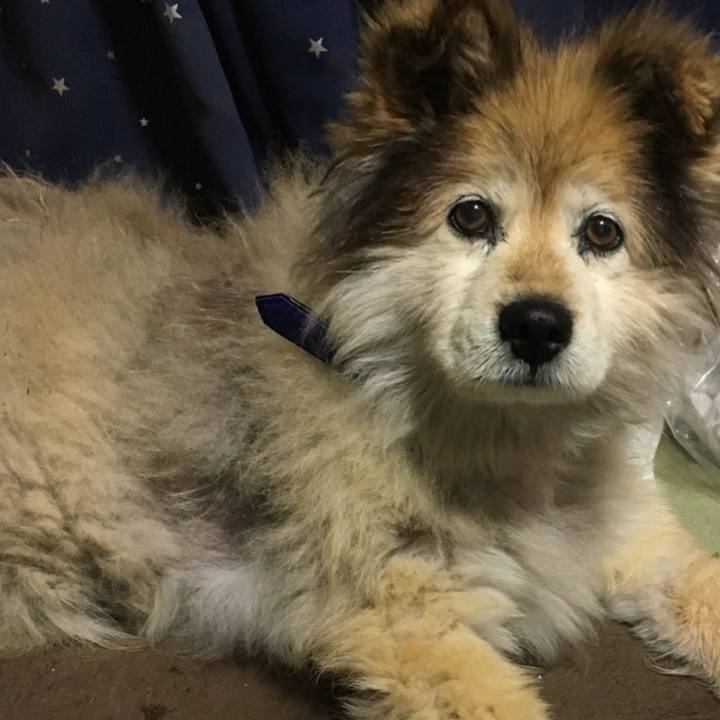 Da1a4ccc fca7 4216 ab23 2ba999a1e23d 1592820268721