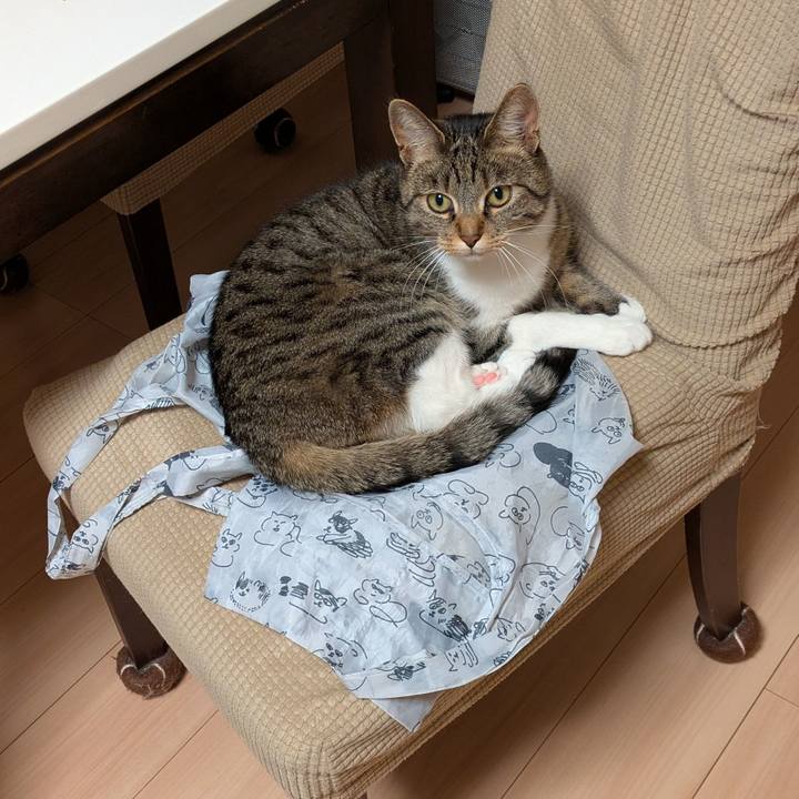 Da1a6b42 5225 494e bc46 aa62bebb9385 1740041816567