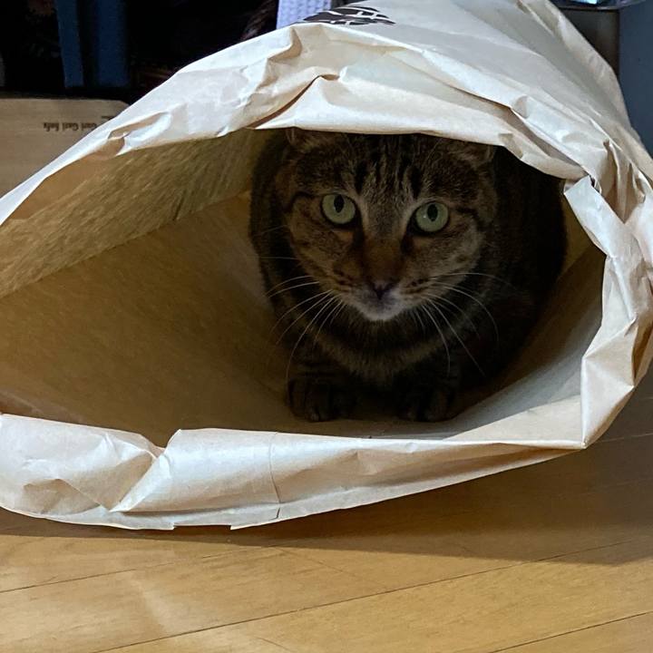 Da1acba6 da42 4f6e bcc0 565d491be451 1655260924483