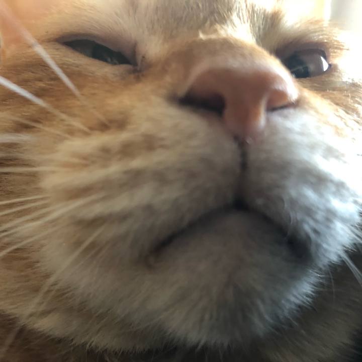 Da1af9ec 3768 41c4 a4fe d8c62876f28b 1650678775585