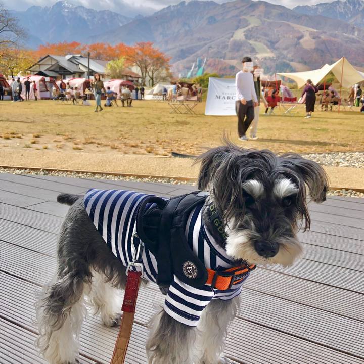 Da1afd68 d620 466d b6b7 e28c30ec7f7d 1699152545422