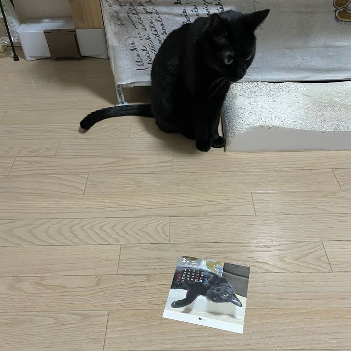 Da1b7e6e 5239 4de9 bdf1 7e562151a650 1741871073599