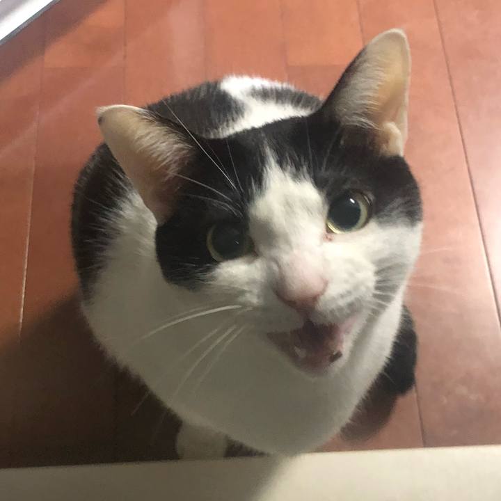 Da1b88e8 6a34 4ea8 ac88 cda5f1eba133 1553060253750