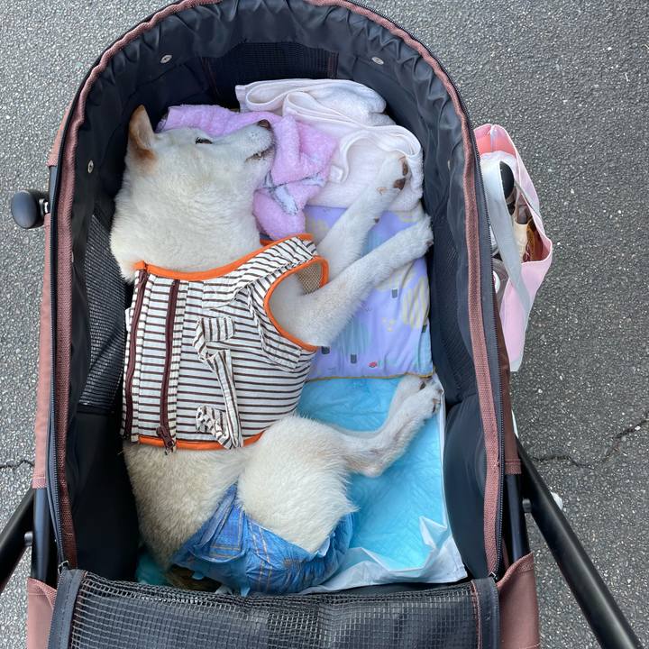 Da1bc2ad 7bac 4771 9ff7 64eeb64bfc36 1656679758025