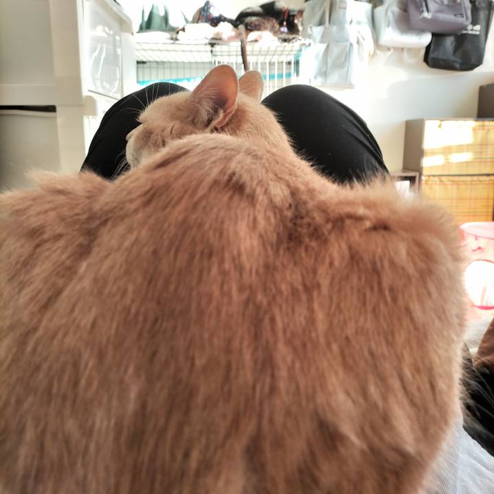 Da1bdabb 9624 4260 b19f db25722d3cd6 1643668350053