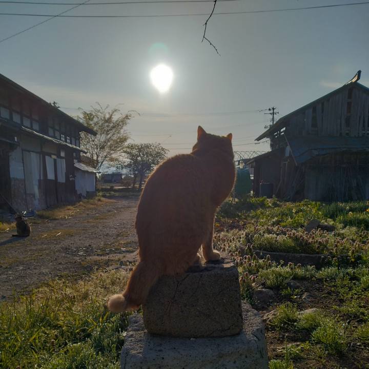 Da1c1ebf 1433 4a55 a95b 8313907774ac 1683066957383