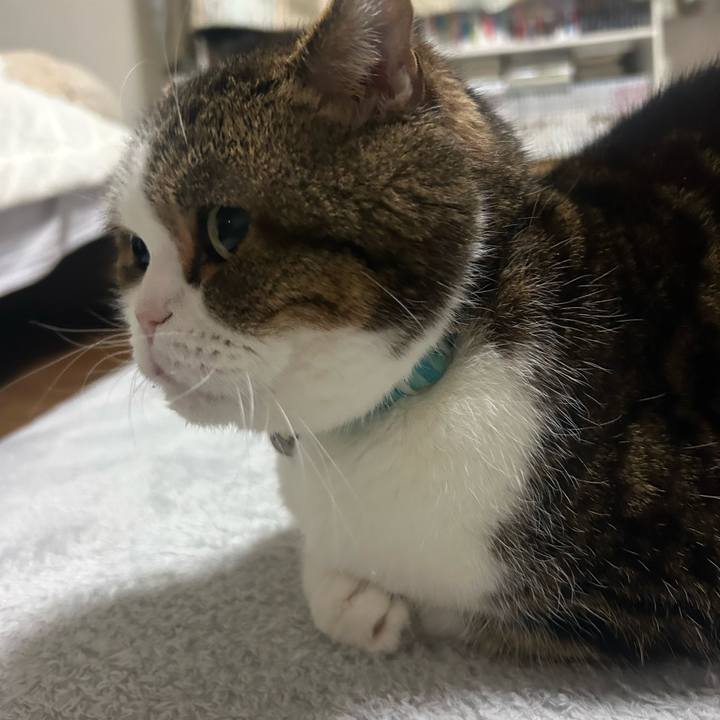 Da1c5aa3 35d5 4da0 a2f7 f286f4087f17 1770891406208