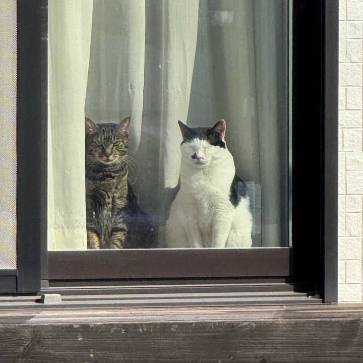 Da1c9c76 e0a7 4da4 8768 0ff5901b42c3 1762482570164