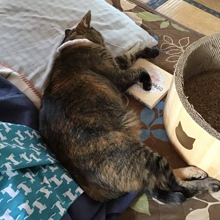 Da1cd35b 169a 4c94 9615 bda1ed94b2fa 1745465252275