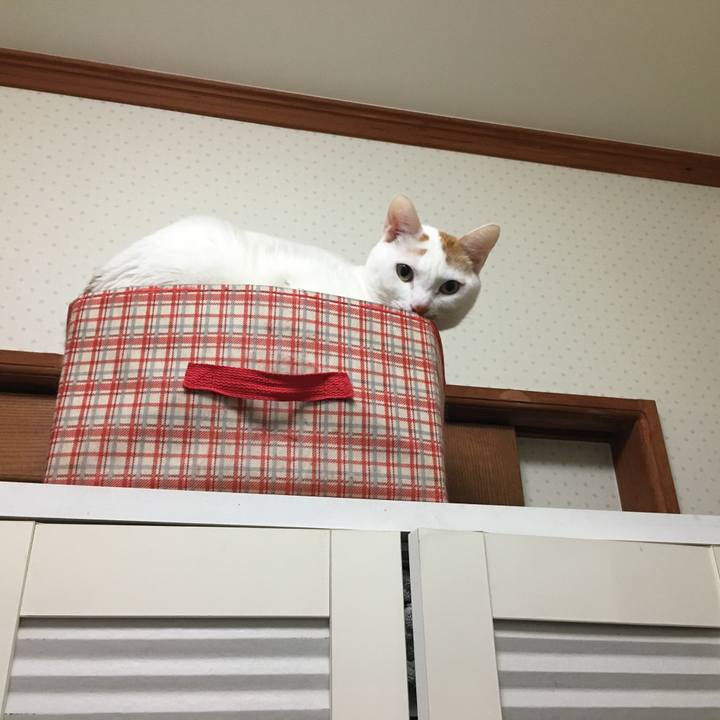 Da1cef35 bba2 4c2b 9282 f85d76802572 1544501201506