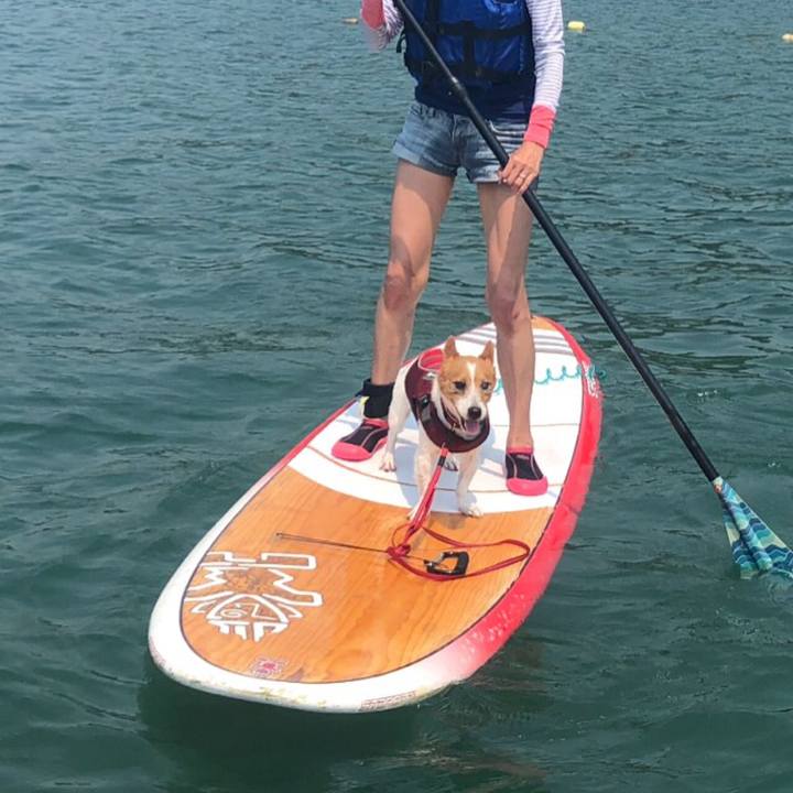 Da1cff65 77ce 4ec7 a2e2 33421a2ce55f 1534910308107