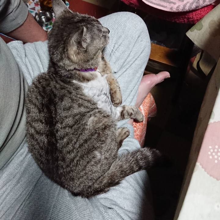 Da1d51f1 e5d6 4b6d b712 87e5d43bbed6 1590349981442