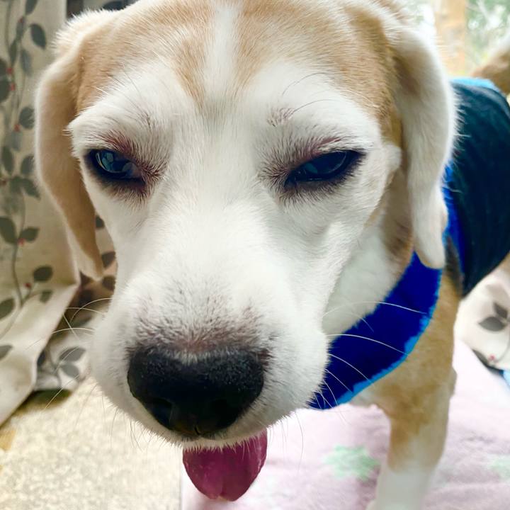 Da1d5366 979b 4130 bece b4ad0fe71a0c 1614922638821