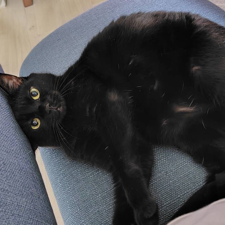 Da1d88e6 0830 4f43 af94 1ece37aadf94 1758891085194