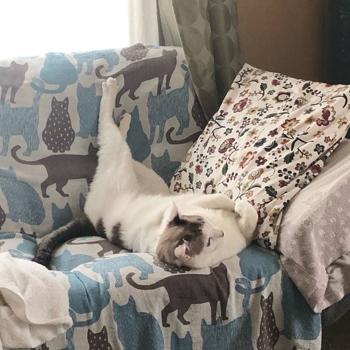 Da1d95bb 5ee9 4f6d 80b0 db5c10d85138 1663823176430