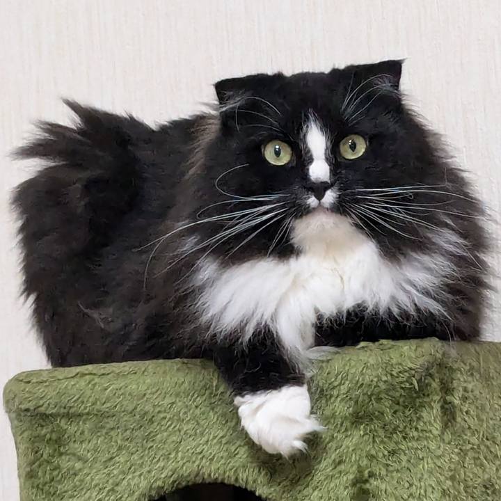 Da1dd123 76f8 4bf9 904b a9962111a6b6 1719053866103