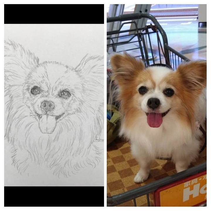 Da1dde88 f548 4976 857e e5eae1e053bc 1593938015349