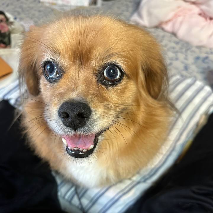 Da1e31a2 a9c9 488e b4d1 2d0897ffbf47 1719781683466