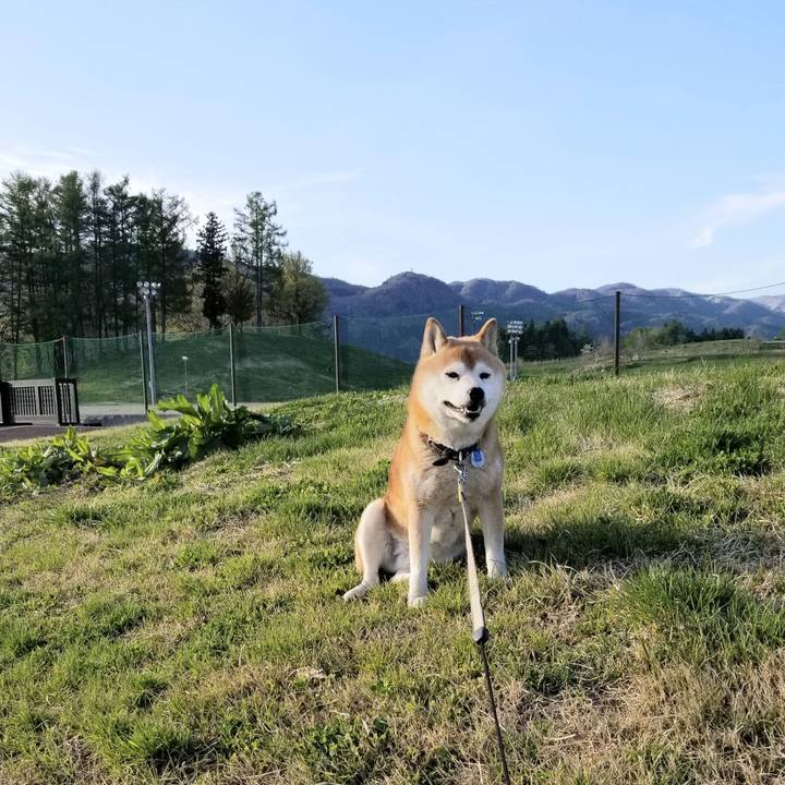 Da1e36e9 6e2b 4cf0 b82f 29486f459d50 1619510509613