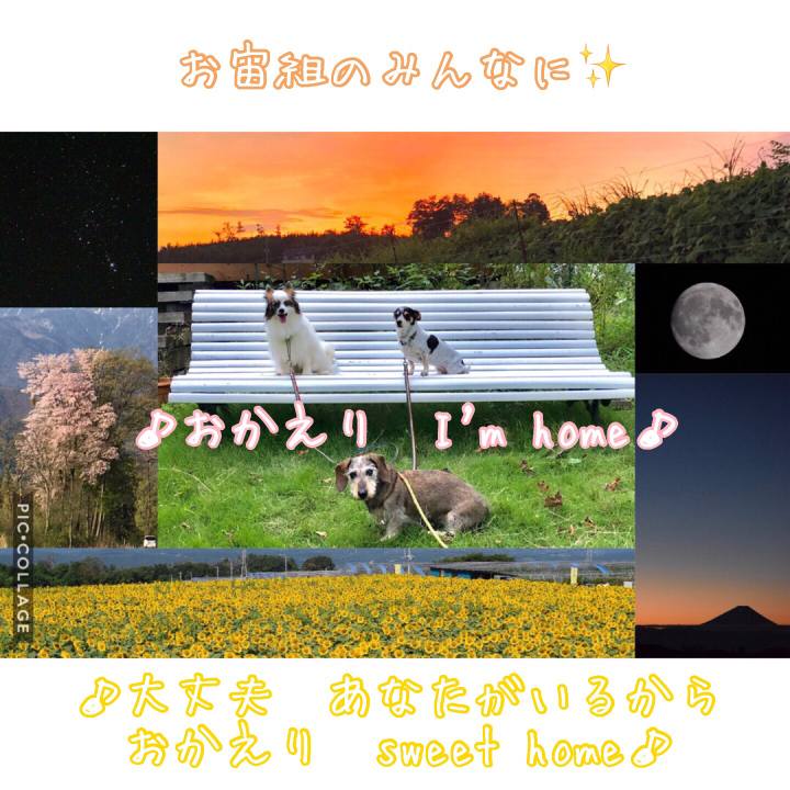 Da1e3e3b 1499 44f5 8090 e0949599063a 1534261420114