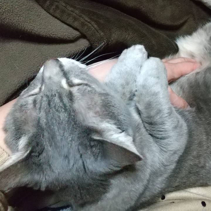 Da1e4ffb 3299 417d ba4c 1fed77c5faeb 1613570881373