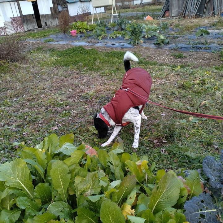 Da1e5faf 6f6d 44fe 8823 7654487a23ca 1670909938233