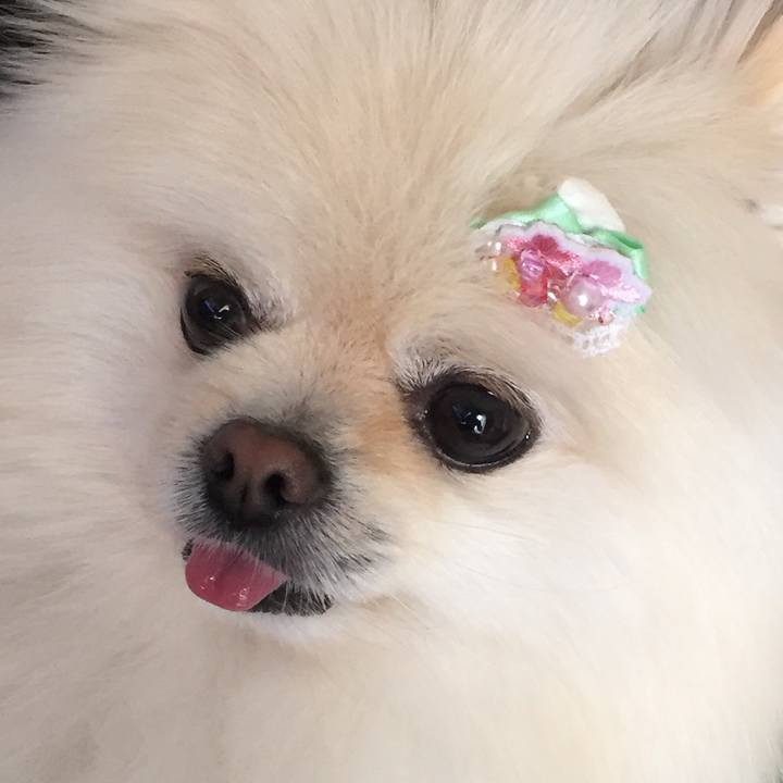 Da1e67ac e45c 406a 9815 16bf40e54ca1 1585710756752