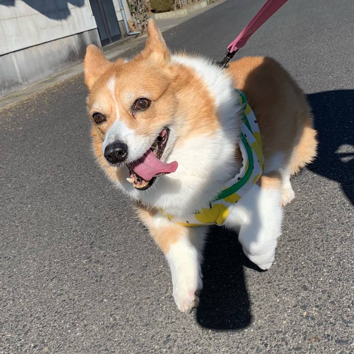 Da1e6a86 f45e 4f03 bf2b 62022c681a70 1704336548874