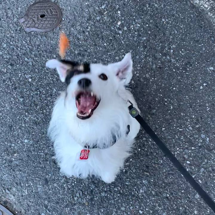 Da1e6c4a ca36 446c abf1 48fcf5e7e225 1691102132166