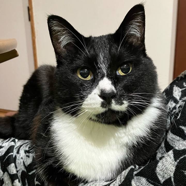 Da1e7180 11d6 4e58 a4c0 4b2b326f990a 1754972741232