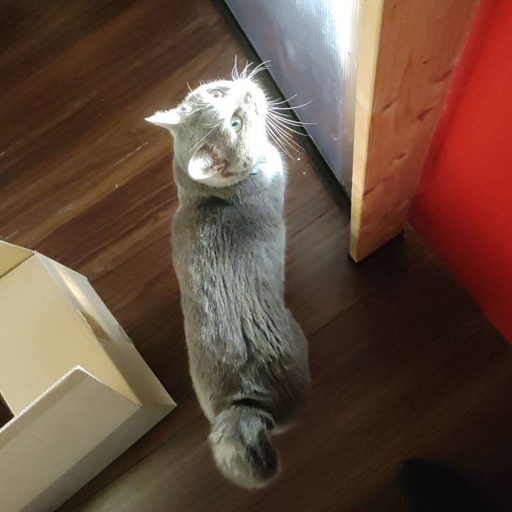 Da1e7252 68c9 4b70 90f2 8f47638c16ca 1680562818616