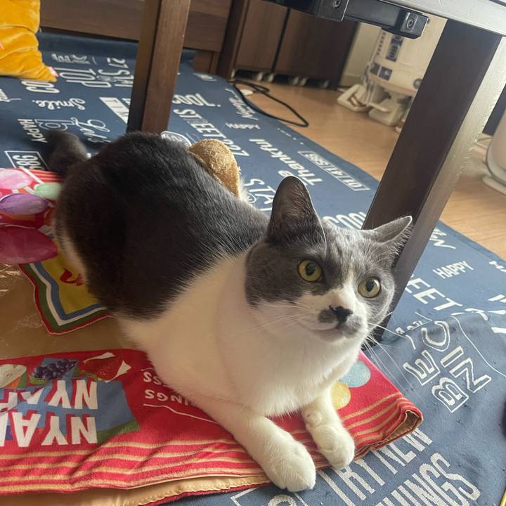 Da1e8d2d dba2 4bc5 ad3a 0b446cff1f5f 1745452734520