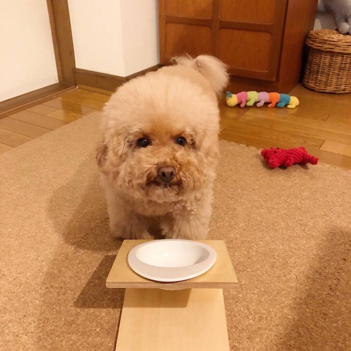 Da1e9e7c 5fa0 49a6 8cef 0b711176a570 1511237692826