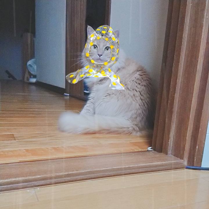 Da1ef3d1 8e6b 41e5 ad73 d10b8f852a53 1564317935458