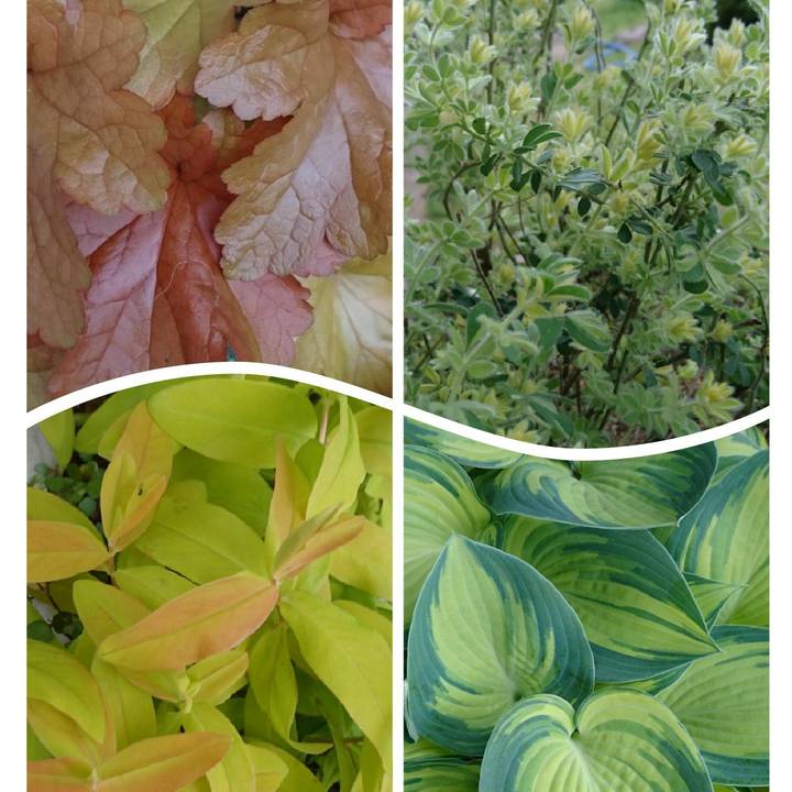 Da1f018d 3774 4254 ae38 6076968b9d19 1523876591879