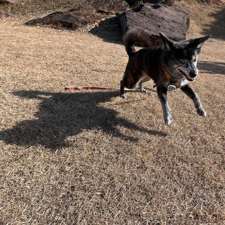 Da1f4226 ca2c 4311 8a65 42d4df44be6e 1770349431838