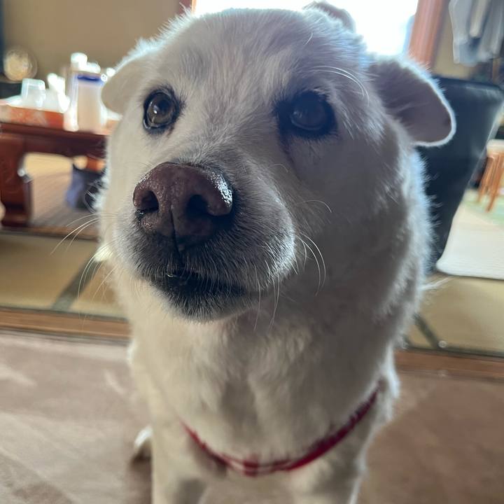 Da1f58e0 1c6a 49e1 8f55 098eaa43ed94 1762730686163