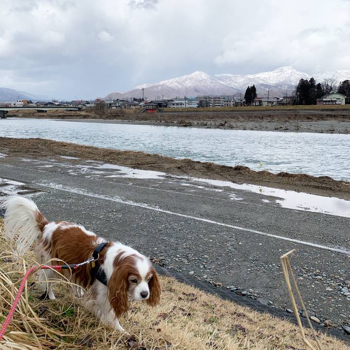 Da1f7b60 a8e5 42b8 8ff1 c72d63429d86 1583379596963