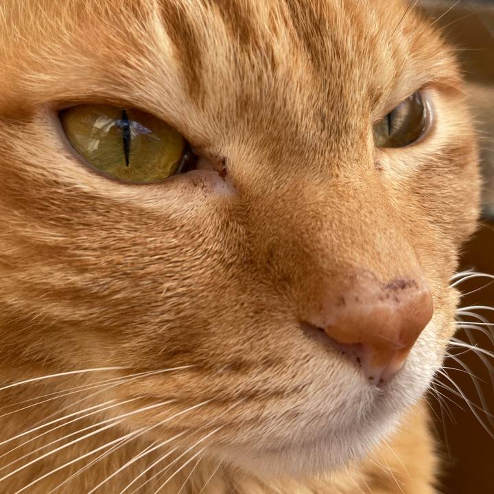 Da1f8593 d73c 4421 bbf7 0221aa269255 1768015257832