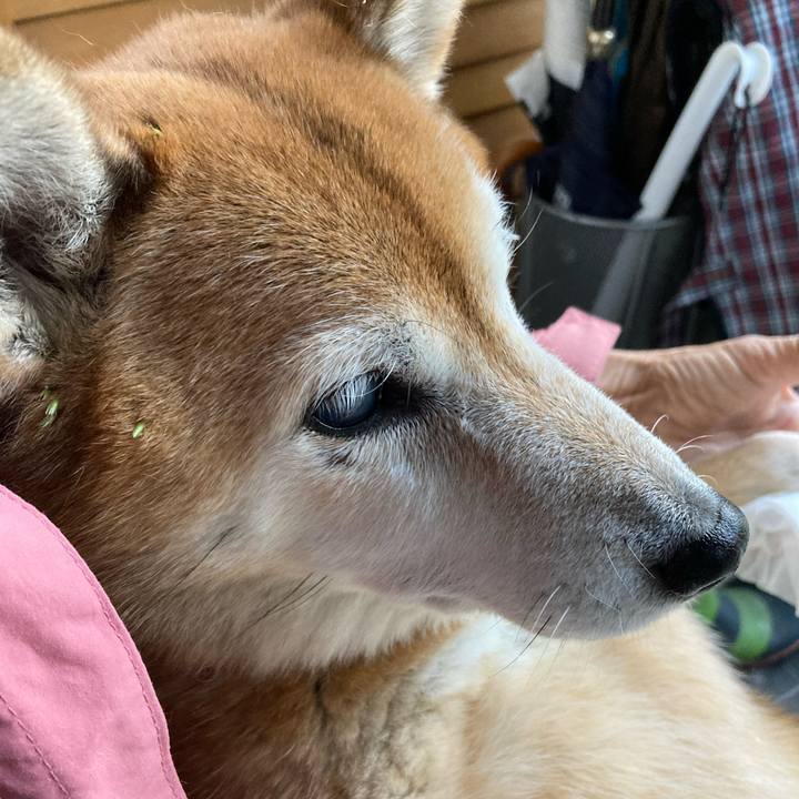 Da1f9da9 62c0 4aa7 b2d0 98f0d59e57a5 1698708219677